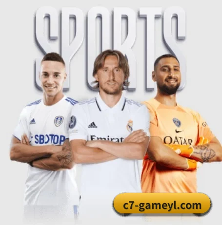 开云 APP(Kaiyun Esports)